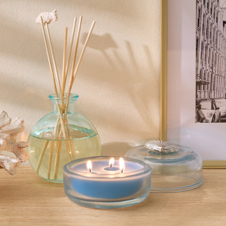 Redolence Atlantic Shimmers Marine Scented Jar Candle