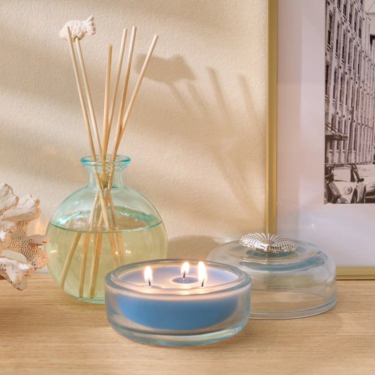 Redolence Glass Atlantic Shimmers Marine Reed Diffuser Set