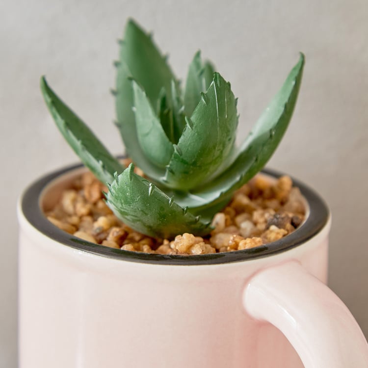 Gloria Palm Artificial Succulent in Ceramic Mug