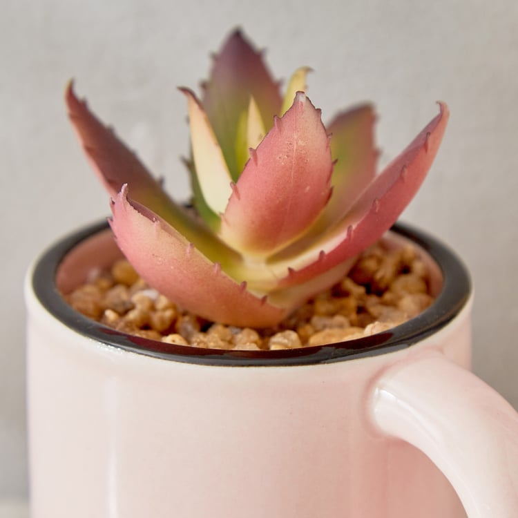 Gloria Palm Artificial Succulent in Ceramic Mug