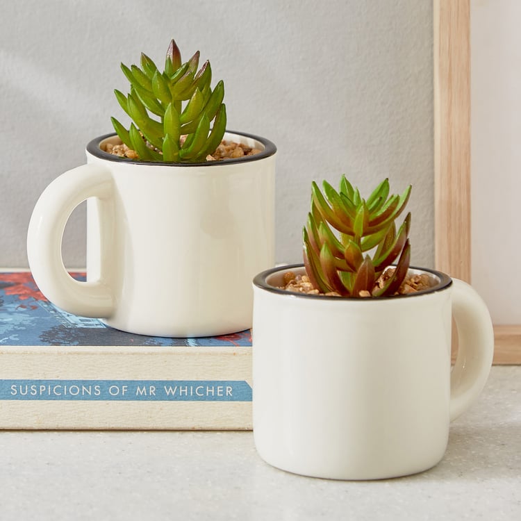 Gloria Palm Artificial Succulent in Ceramic Mug