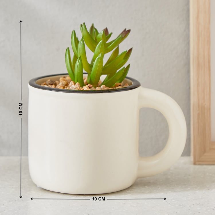 Gloria Palm Artificial Succulent in Ceramic Mug