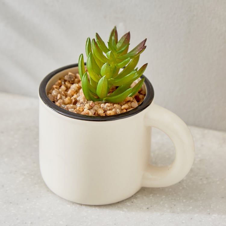 Gloria Palm Artificial Succulent in Ceramic Mug