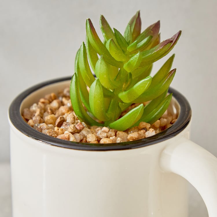 Gloria Palm Artificial Succulent in Ceramic Mug