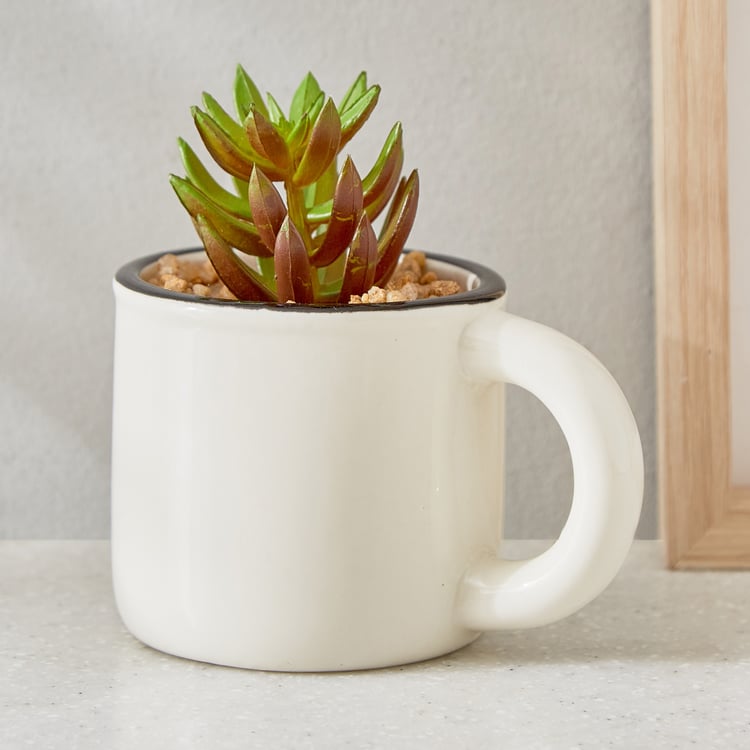 Gloria Palm Artificial Succulent in Ceramic Mug