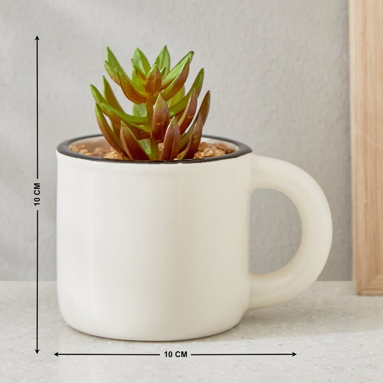 Gloria Palm Artificial Succulent in Ceramic Mug