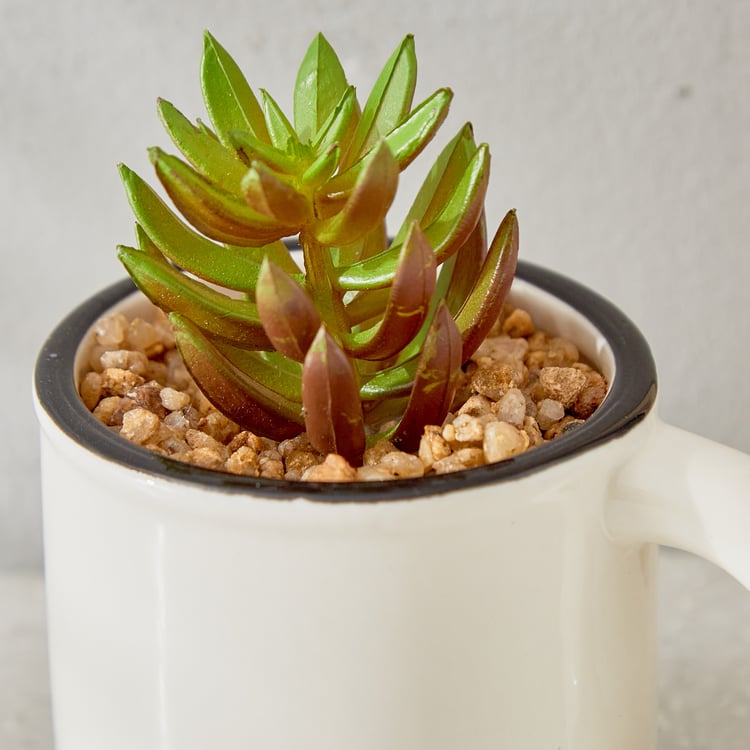 Gloria Palm Artificial Succulent in Ceramic Mug