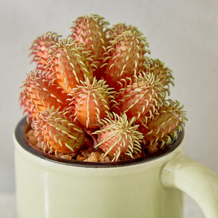 Gloria Palm Artificial Succulent in Ceramic Mug