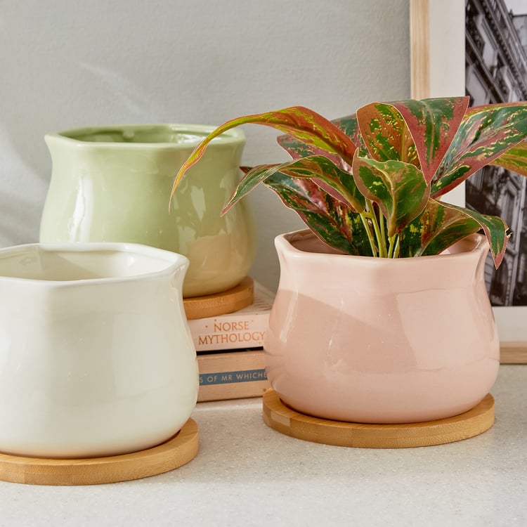 Gloria Sane Ceramic Planter with Wooden Base