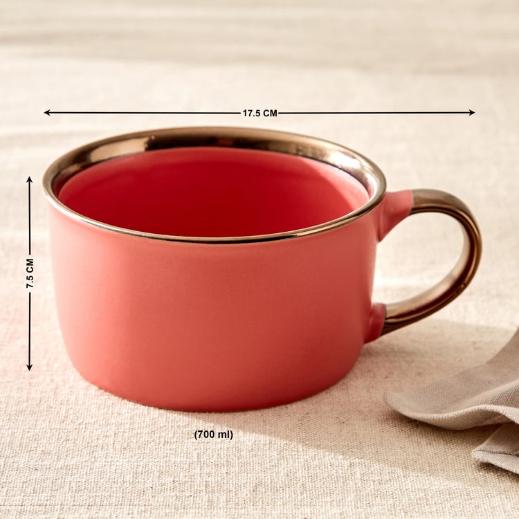 Vibgyor Tashoku Set of 4 Stoneware Ramen Bowls - 700ml