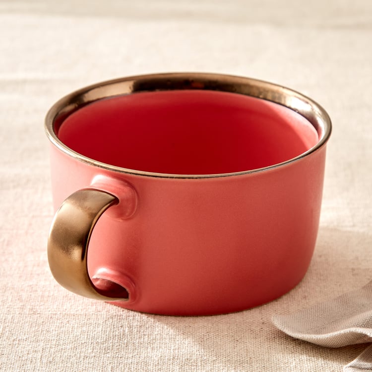 Vibgyor Tashoku Set of 4 Stoneware Ramen Bowls - 700ml