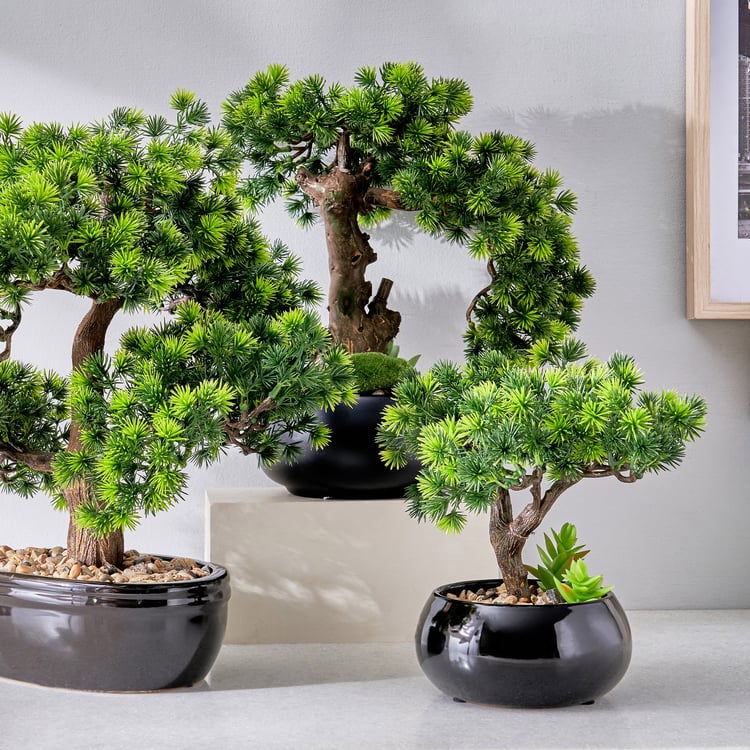 Gloria Acacia Artificial Bonsai in Ceramic Pot