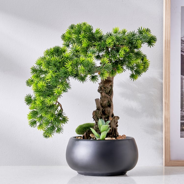 Gloria Acacia Artificial Bonsai in Ceramic Pot