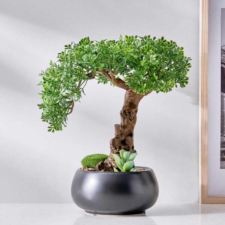 Gloria Acacia Artificial Bonsai in Ceramic Pot