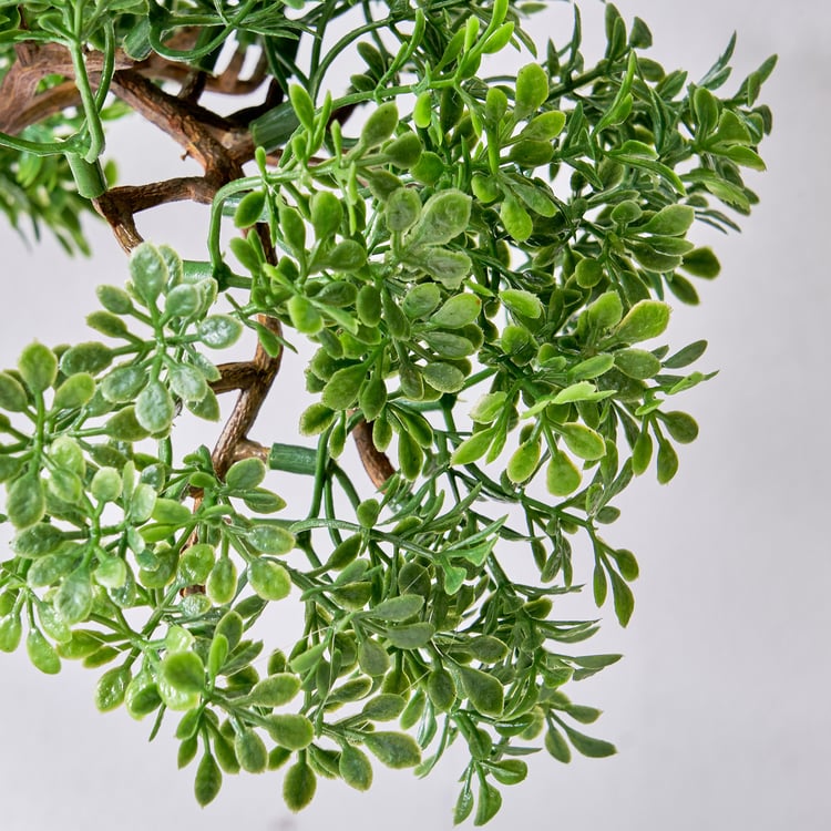 Gloria Acacia Artificial Bonsai in Ceramic Pot