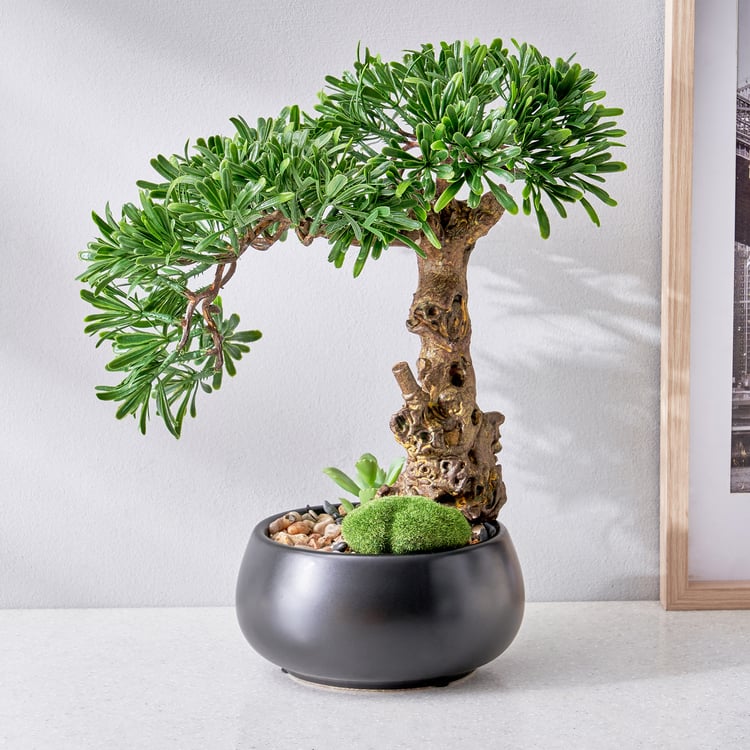 Gloria Acacia Artificial Bonsai in Ceramic Pot