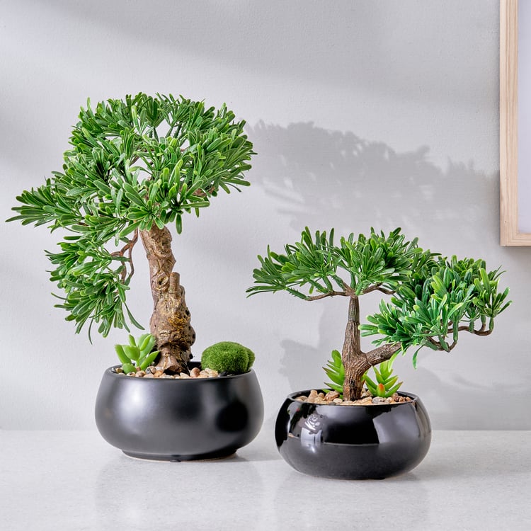 Gloria Acacia Artificial Bonsai in Ceramic Pot