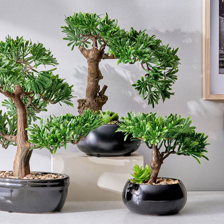 Gloria Acacia Artificial Bonsai in Ceramic Pot