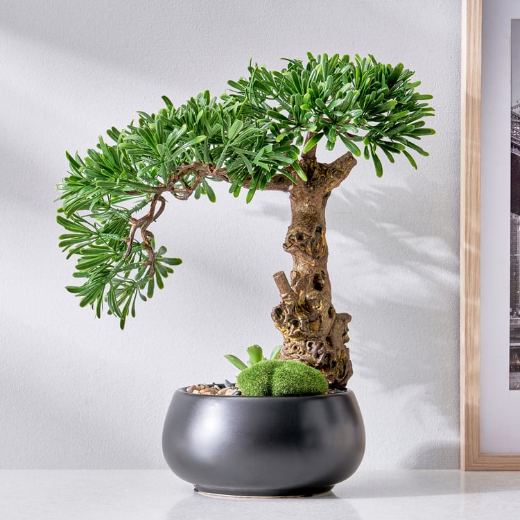 Gloria Acacia Artificial Bonsai in Ceramic Pot