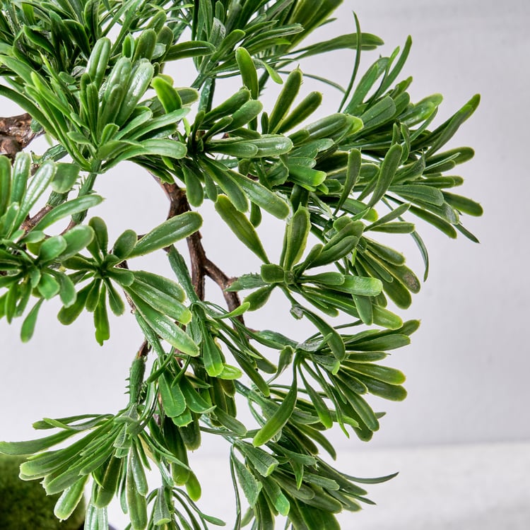 Gloria Acacia Artificial Bonsai in Ceramic Pot