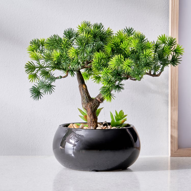 Gloria Acacia Artificial Bonsai in Ceramic Pot