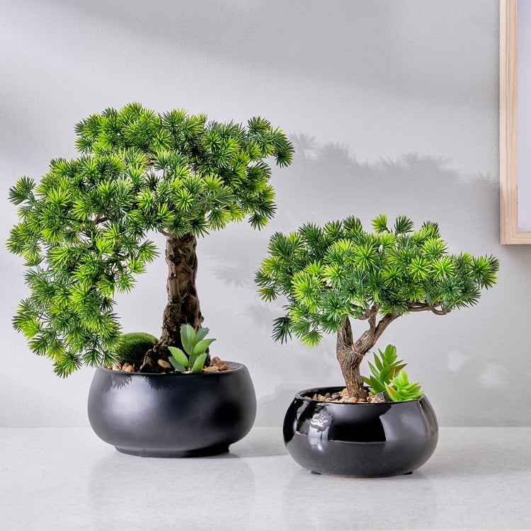 Gloria Acacia Artificial Bonsai in Ceramic Pot