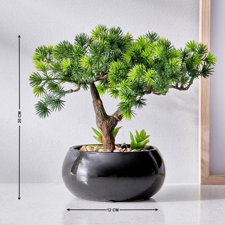 Gloria Acacia Artificial Bonsai in Ceramic Pot