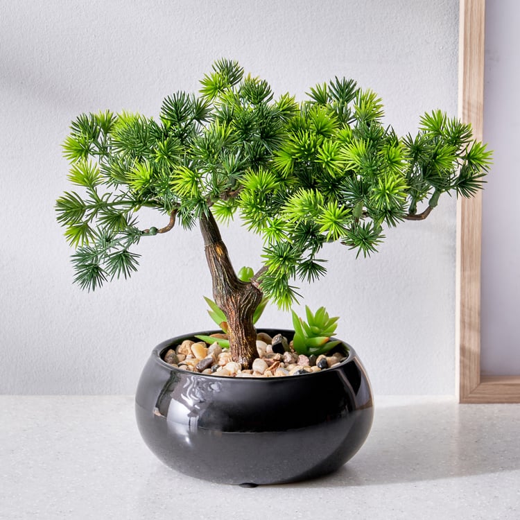 Gloria Acacia Artificial Bonsai in Ceramic Pot