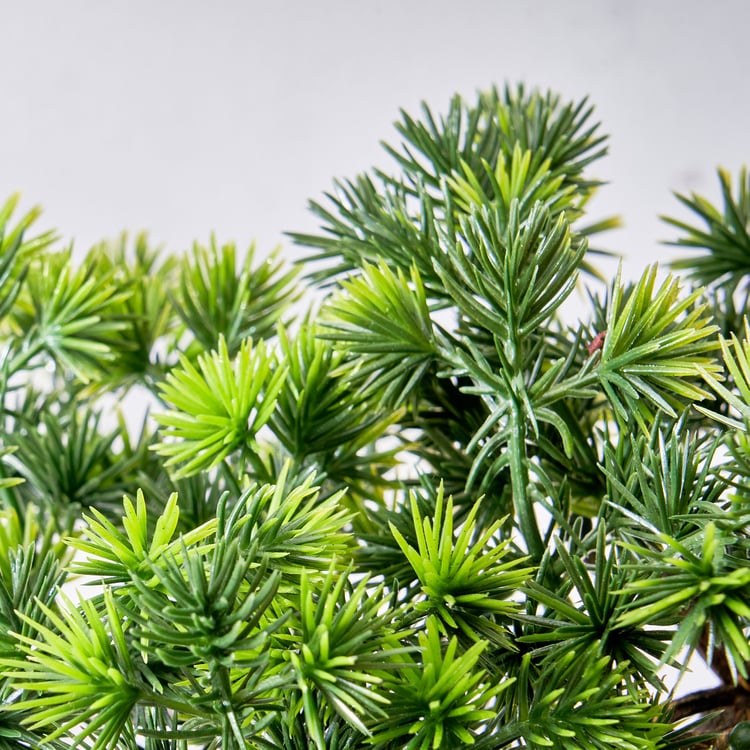 Gloria Acacia Artificial Bonsai in Ceramic Pot