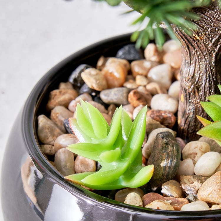 Gloria Acacia Artificial Bonsai in Ceramic Pot