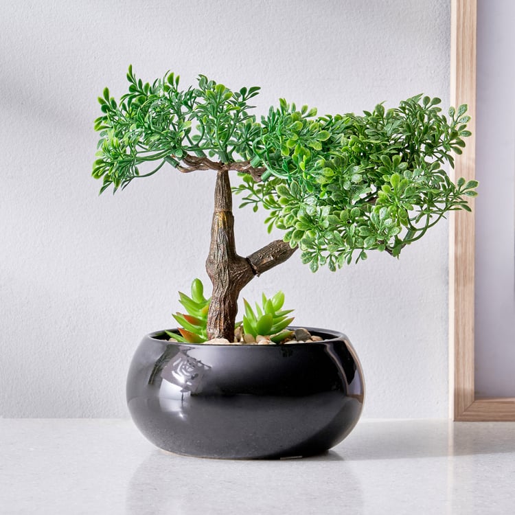 Gloria Acacia Artificial Bonsai in Ceramic Pot