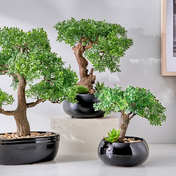 Gloria Acacia Artificial Bonsai in Ceramic Pot