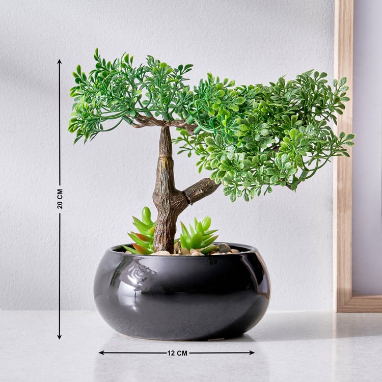 Gloria Acacia Artificial Bonsai in Ceramic Pot