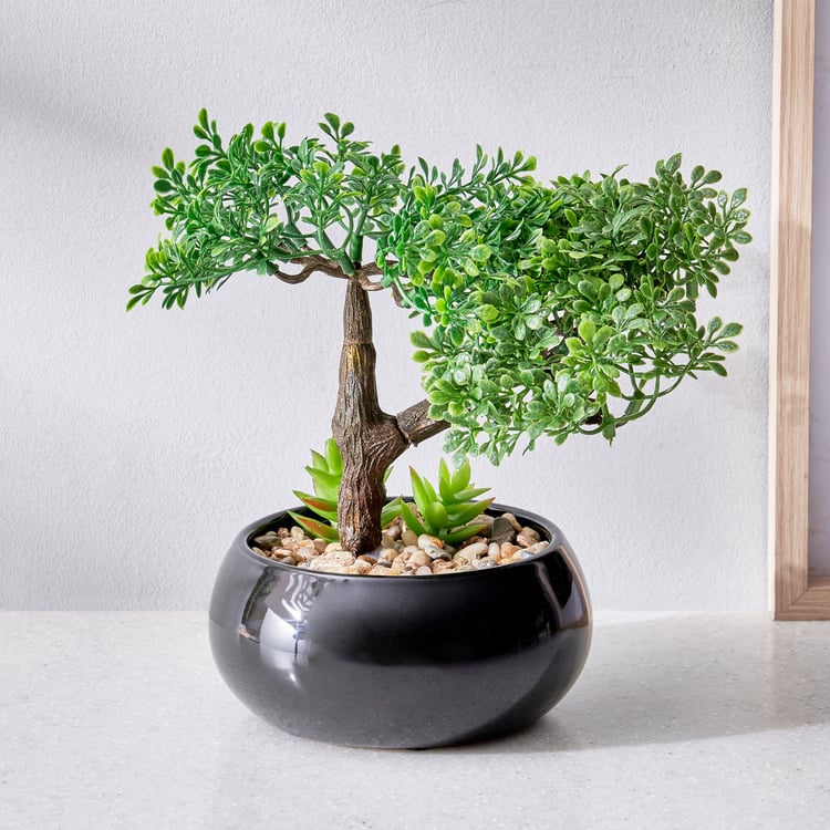 Gloria Acacia Artificial Bonsai in Ceramic Pot