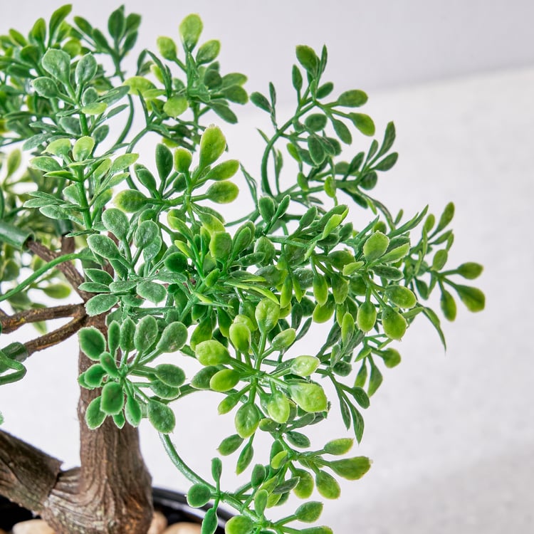 Gloria Acacia Artificial Bonsai in Ceramic Pot