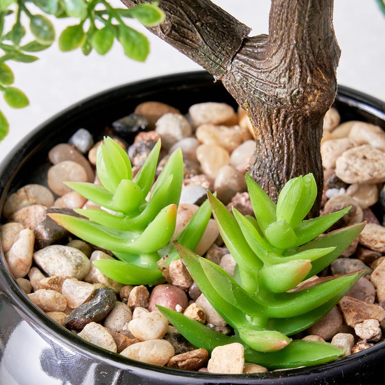 Gloria Acacia Artificial Bonsai in Ceramic Pot