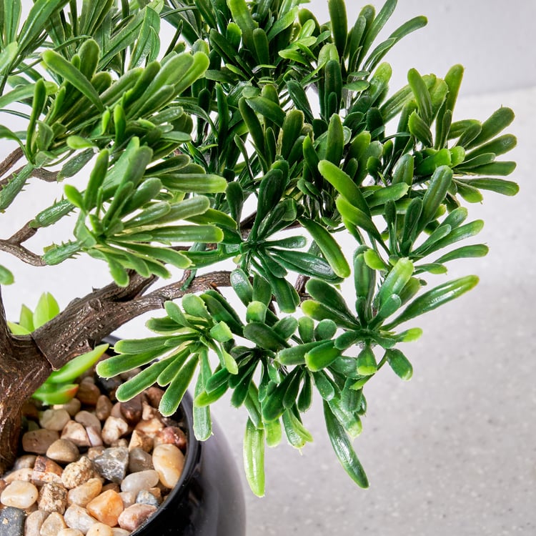 Gloria Acacia Artificial Bonsai in Ceramic Pot