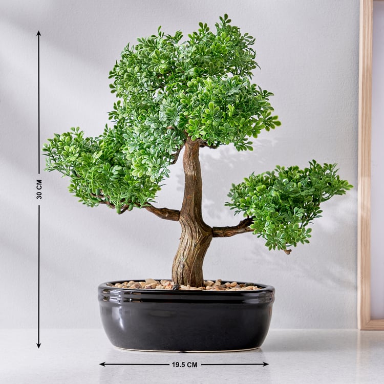 Gloria Bonsai Artificial Plant in Ceramic Pot