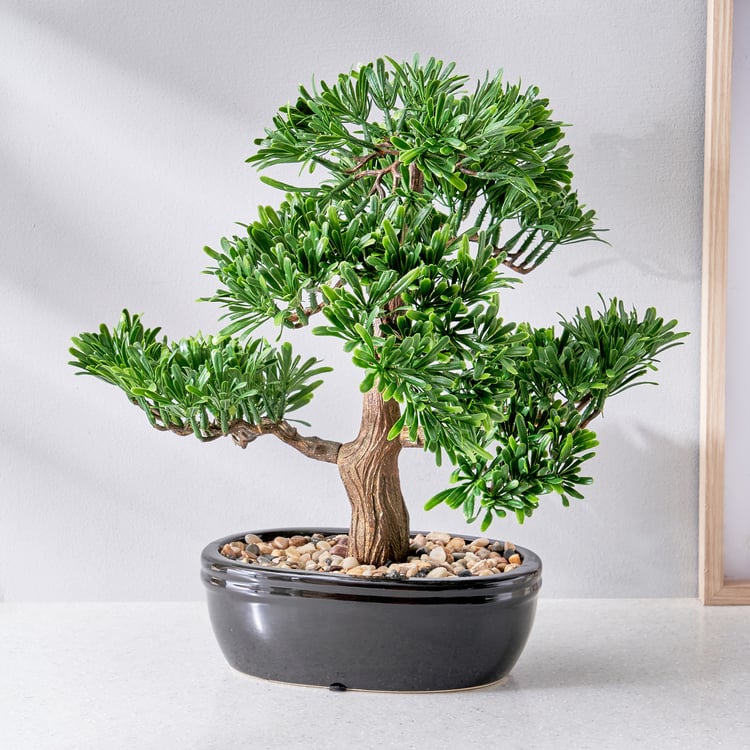 Gloria Bonsai Artificial Plant in Ceramic Pot