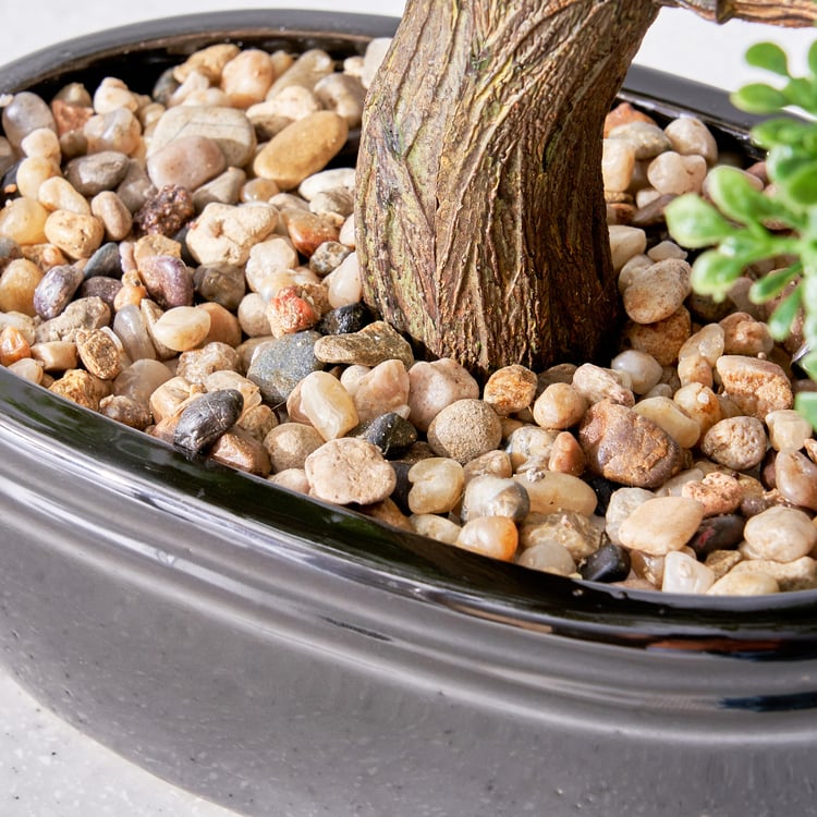 Gloria Bonsai Artificial Plant in Ceramic Pot