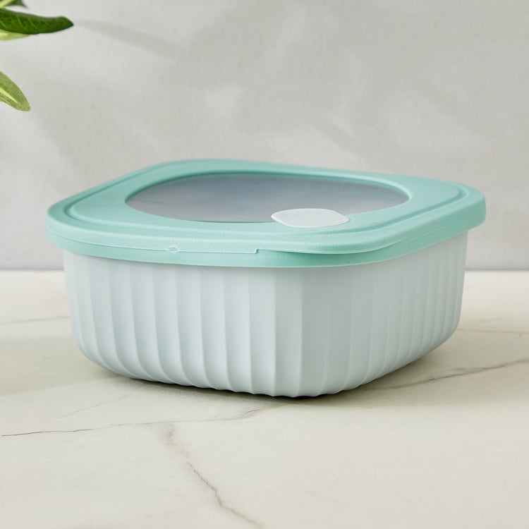 Omnis Aruba 4Pcs Polypropylene Storage Containers