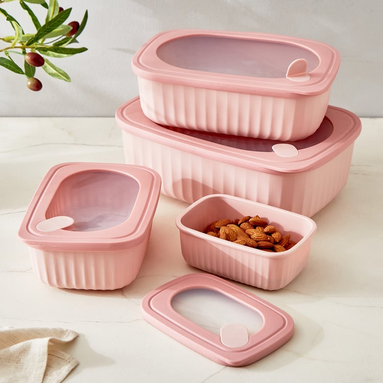 Omnis Aruba Set of 4 Polypropylene Storage Containers