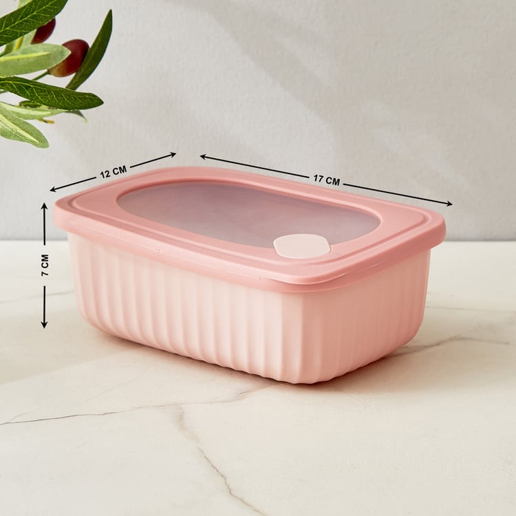 Omnis Aruba Set of 4 Polypropylene Storage Containers