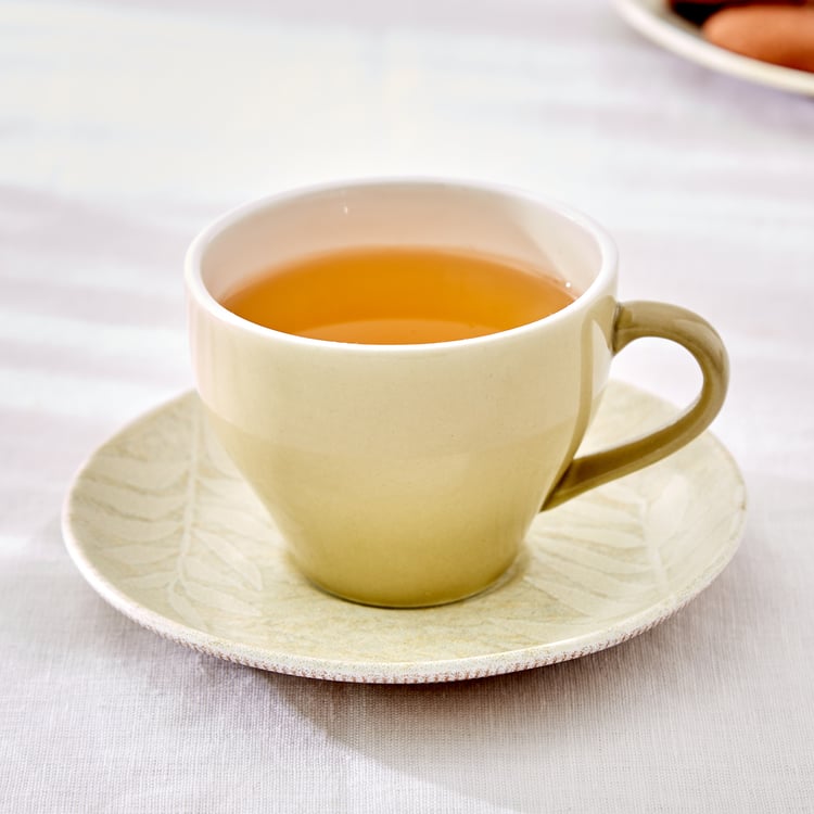 Camellia Bone China Printed Cup and Saucer - 260ml