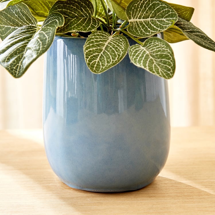 Splendid Homeshores Glaze Ceramic Planter