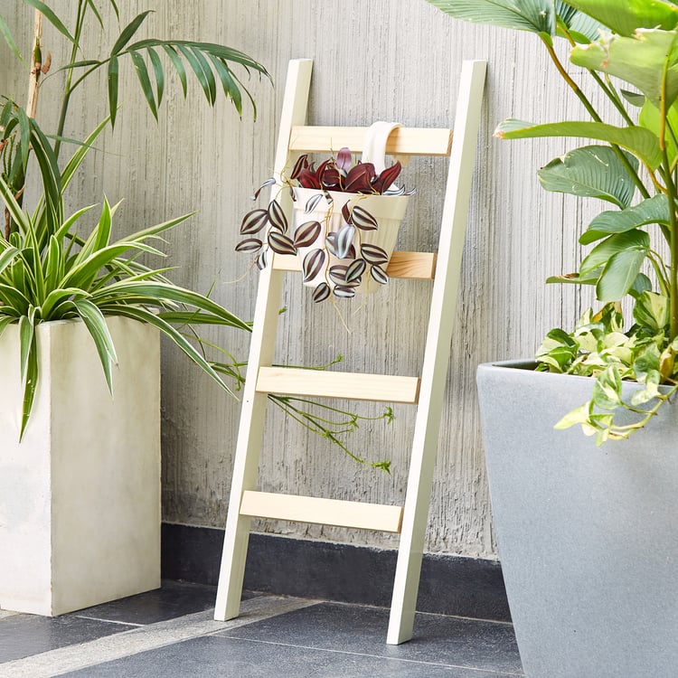 Lets Garden Wooden Decorative Ladder