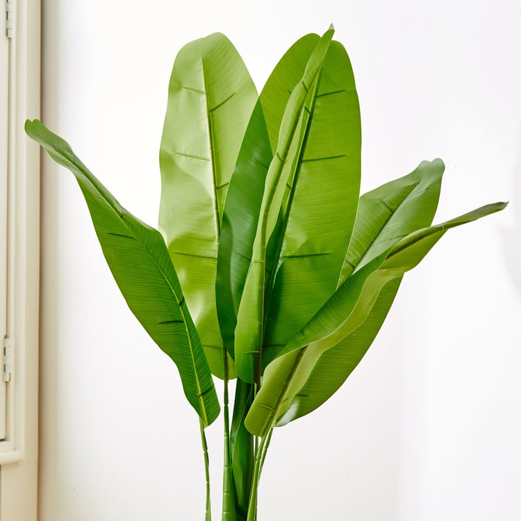 Gardenia Artificial Banana Tree in Polypropylene Pot