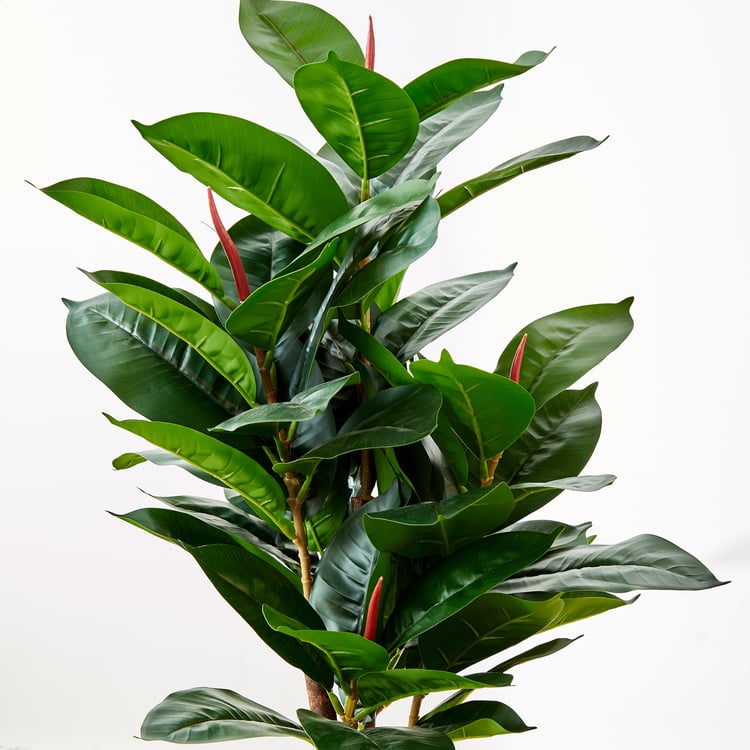 Gardenia Artificial Oak Tree in Polypropylene Pot