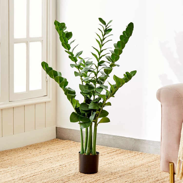 Gardenia Artificial Zamioculcas Tree in Polypropylene Pot - Large