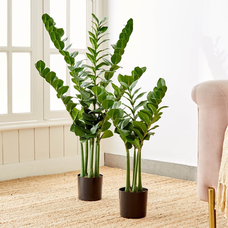 Gardenia Artificial Zamioculcas Tree in Polypropylene Pot - Large